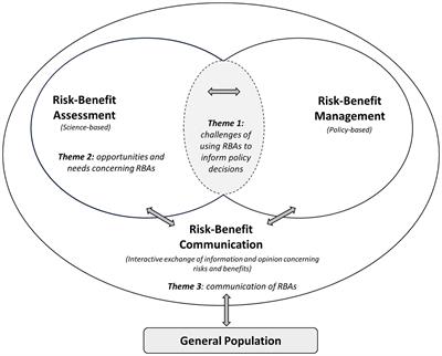 Risk–benefit assessment of foods and its role to inform policy decisions: outcome of an international workshop